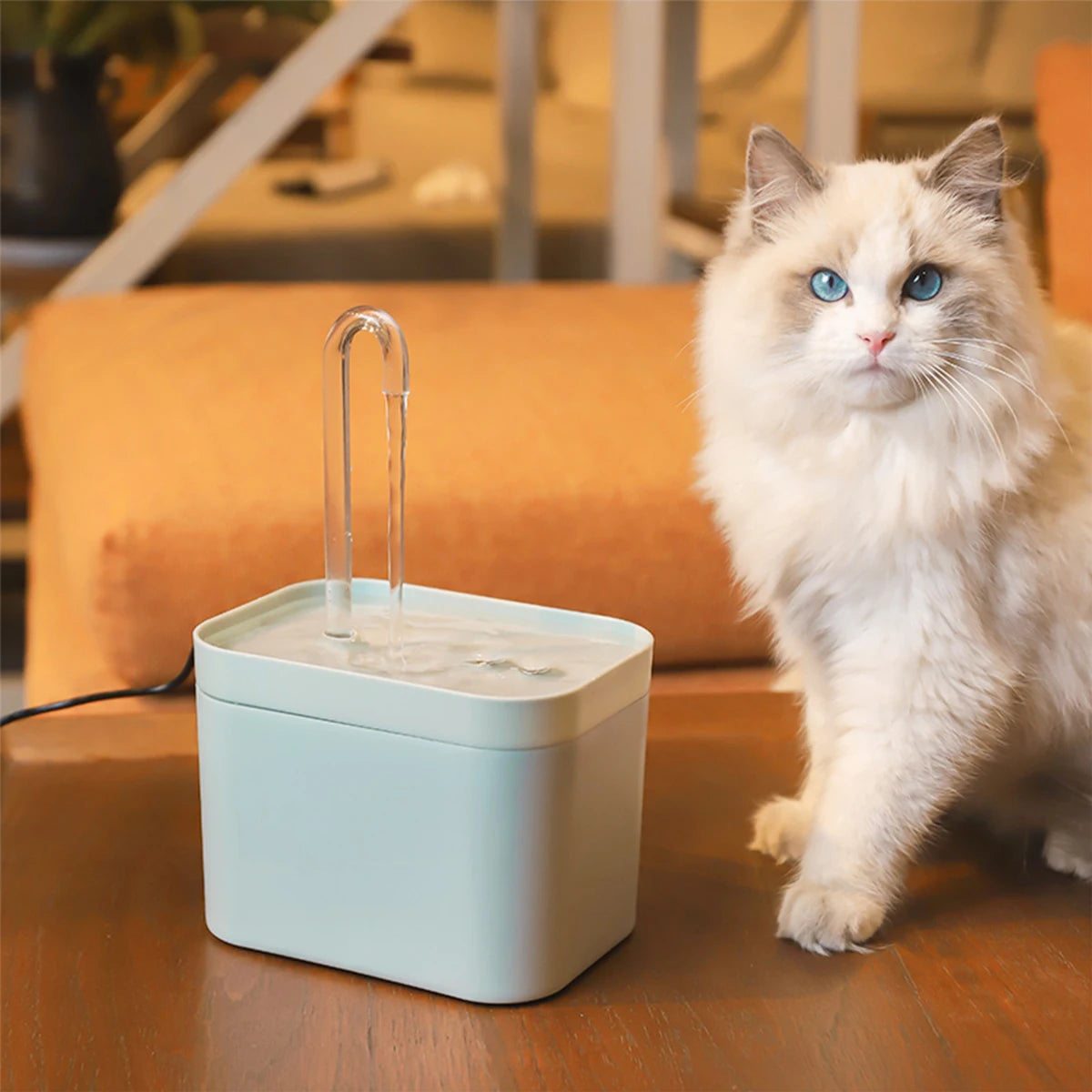 Water fountain dispenser for Cats and Dogs